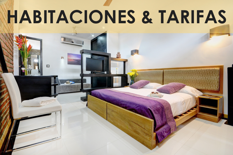 INICIO Casa Carolina